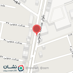 عکس پاچینی مزه