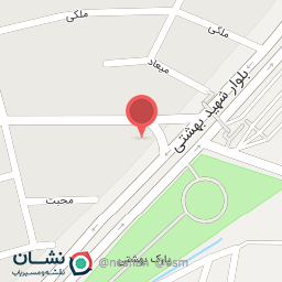 عکس کباب رضوی