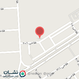 عکس بازی فکری ویولت