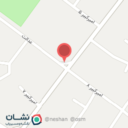 عکس پیتزا میر حسینی