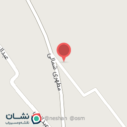 عکس پیتزا پانیذ