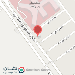 عکس گل فروشی گل زنبق