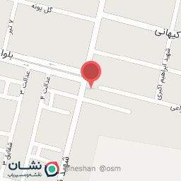 عکس آقای برگر