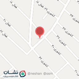 عکس قالیشویی اتوماتیک دلفین
