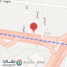 عکس پیتزا بانی