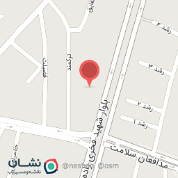 عکس تهیه غذای تبریزی