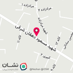 عکس پت شاپ ولف