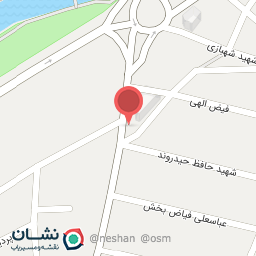 عکس کیف و کفش مانی