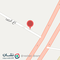 عکس موکب بی بی زینب