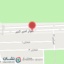 عکس برق وانژکتور رضا