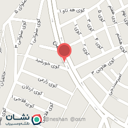 عکس مشاور املاک شاهین نجفی 