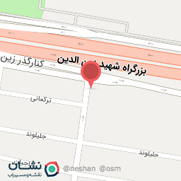 عکس کادویی ستاره پارس