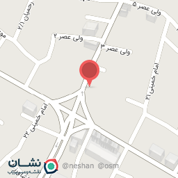 عکس کیف و کفش رایکا