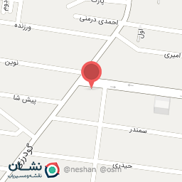 عکس فروشگاه سورنا دزدگیر