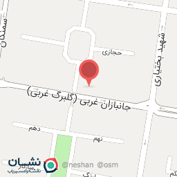 عکس پیتزا سفیر