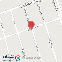 عکس الکتریکی رضا