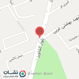 عکس اتو سرویس رئال