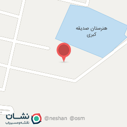 عکس فنی و حرفه ای فامنین