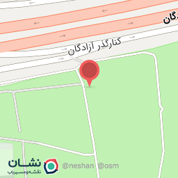 عکس کارواش نیک روز