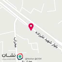 عکس پیتزا روال