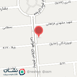 عکس کیف و کفش پنجم