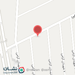 عکس خشکبار ماه عسل 2