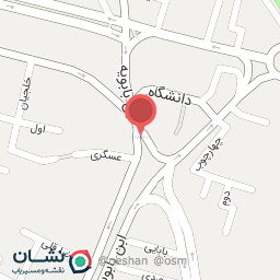 عکس چلوکبابی