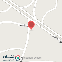 عکس لوازم آرایشی نارسیس