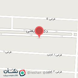 عکس کیف و کفش ساسان