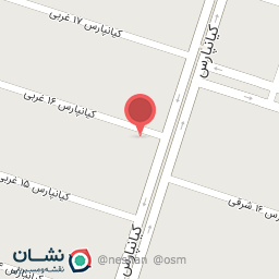 عکس دکتر نجمه سعادتی (متخصص زنان)