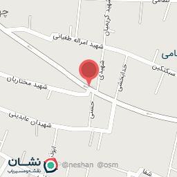 عکس کیف آرامیس