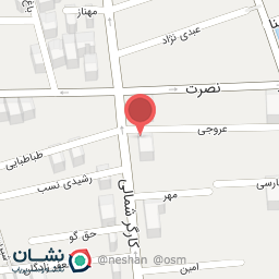 عکس اسنک پونه