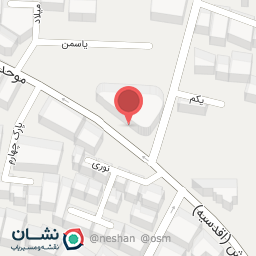 عکس جواهرات نفیسه علوی