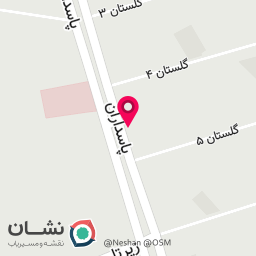عکس عکاسی خاتون