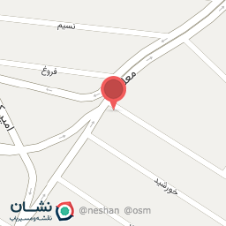 عکس فیزیوتراپی حامی