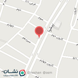 عکس پخش مواد غذایی شاندیز(غریبی)