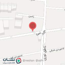 عکس دکتر پرتو سعیدفتحی