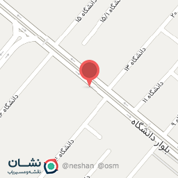 عکس پاچینی و مزه کباب