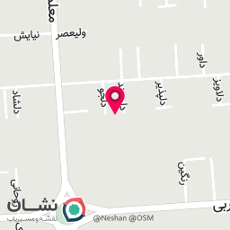 عکس محافظان امنیت