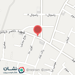 عکس برنج مهدی