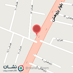 عکس باطری سازی امیر