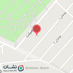 عکس تعویض روغنی مرتضی 