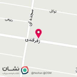 عکس استاد سرویس