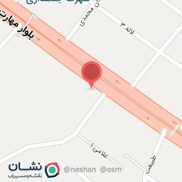 عکس کیف و کفش پارگام