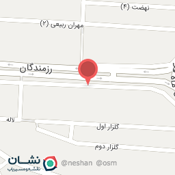 عکس دکتر مهری افشاری