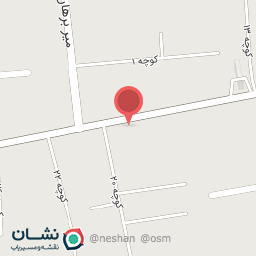 عکس پیتزا و ساندویچ ملچ ملوچ