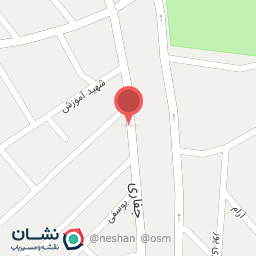 عکس پیتزا ژینو