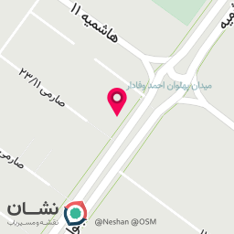 عکس دکتر کتایون صفری