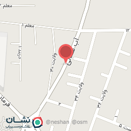 عکس مرغ و پروتئین رحمتی