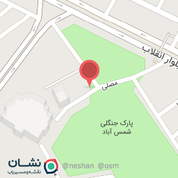 عکس قالیشویی دقت